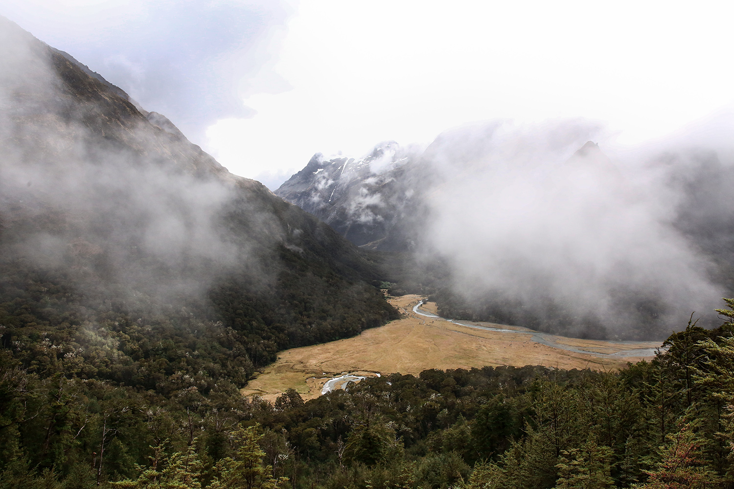 NZ South Island Road Trip