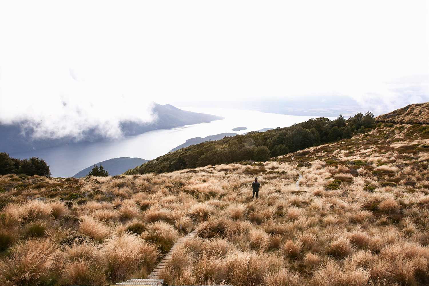 NZ South Island Road Trip