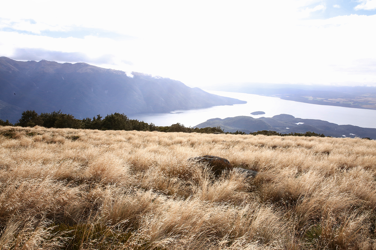 NZ South Island Road Trip