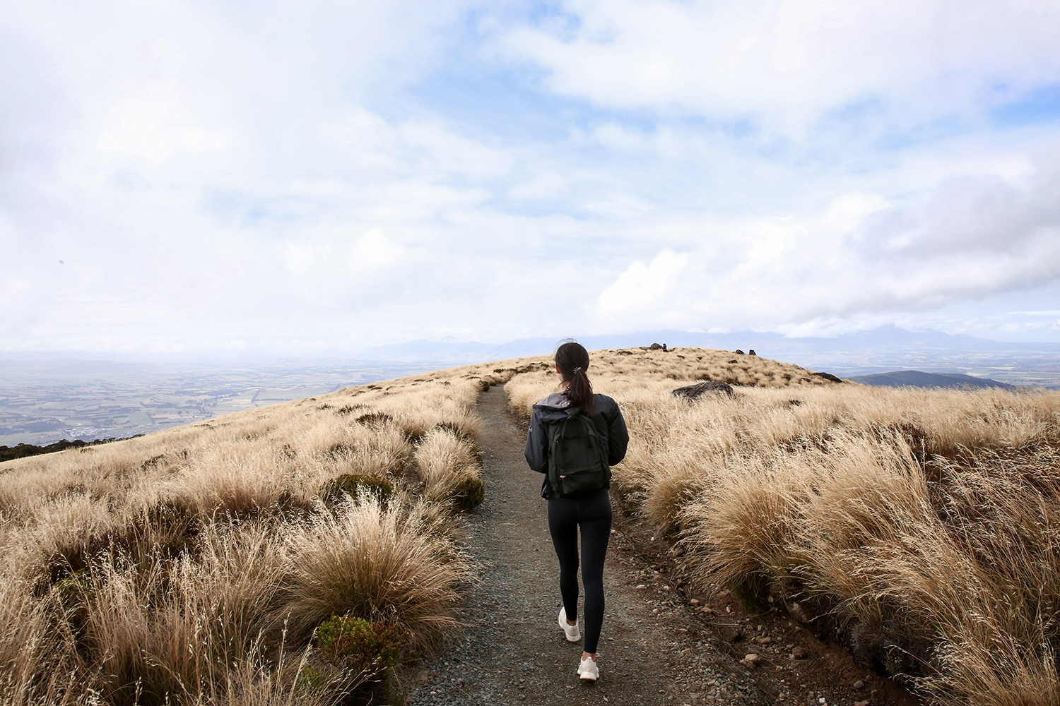 NZ South Island Road Trip