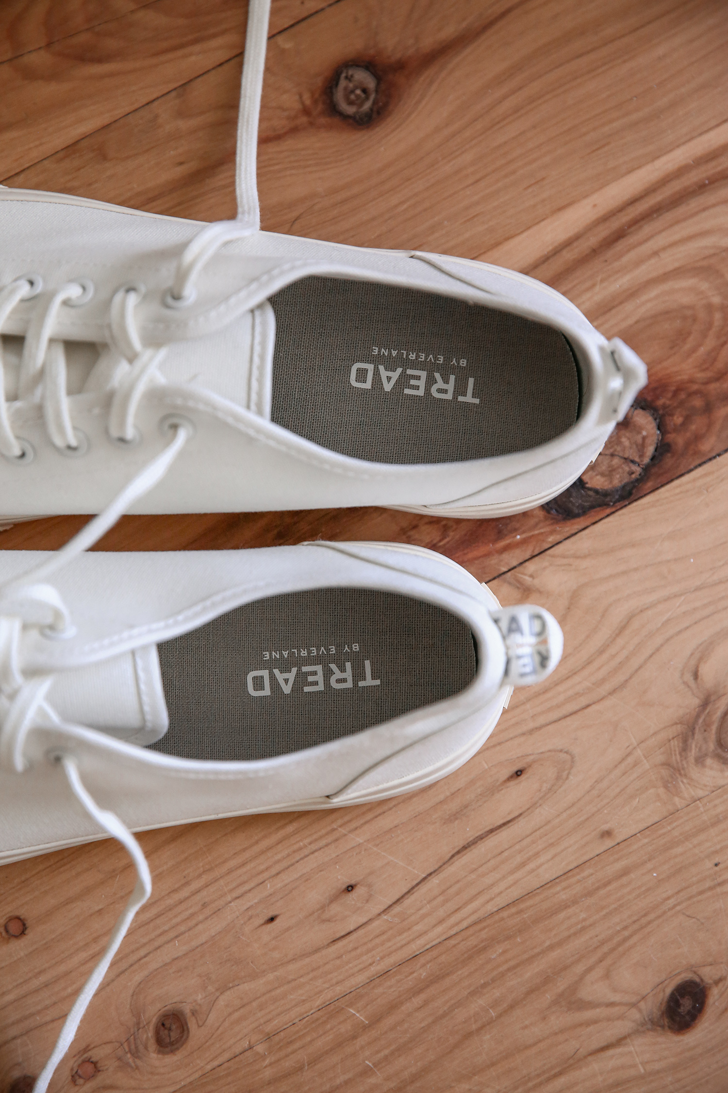 Everlane Forever Sneaker